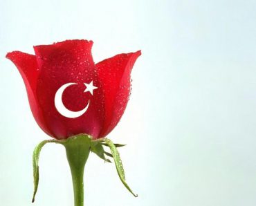 Şah Damarımız Kesildi. Kâmus nâmustur. Türkçe Şahdamarımızdır!