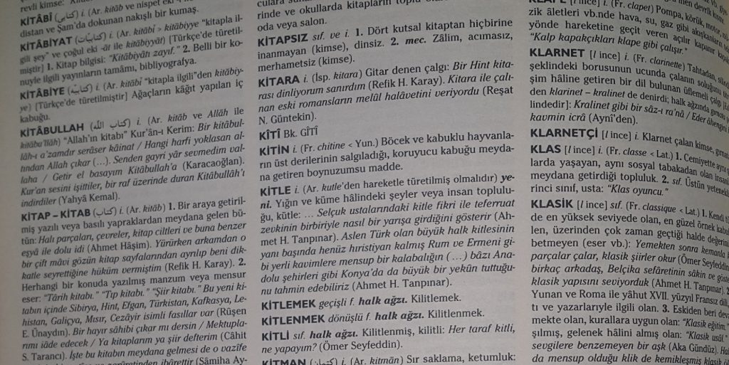 bir münevver için kubbealtı lugat