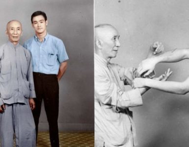 Çinli Savaş Sanatı Ustası: Ip Man