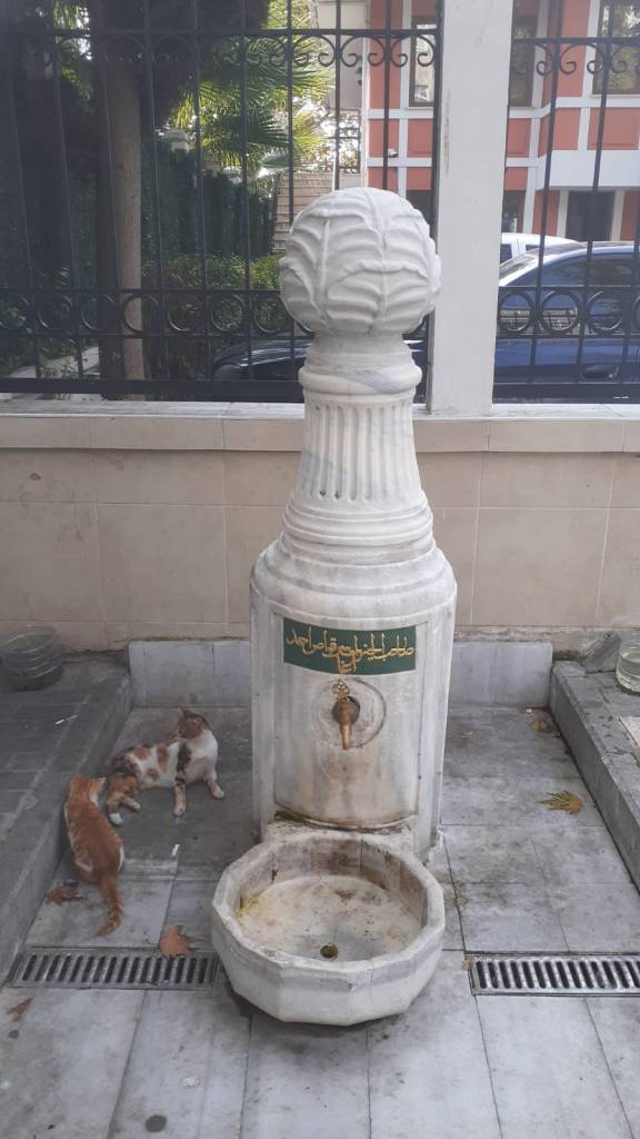 lahana desenli çeşme